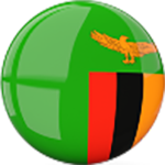 Team 1 Logo